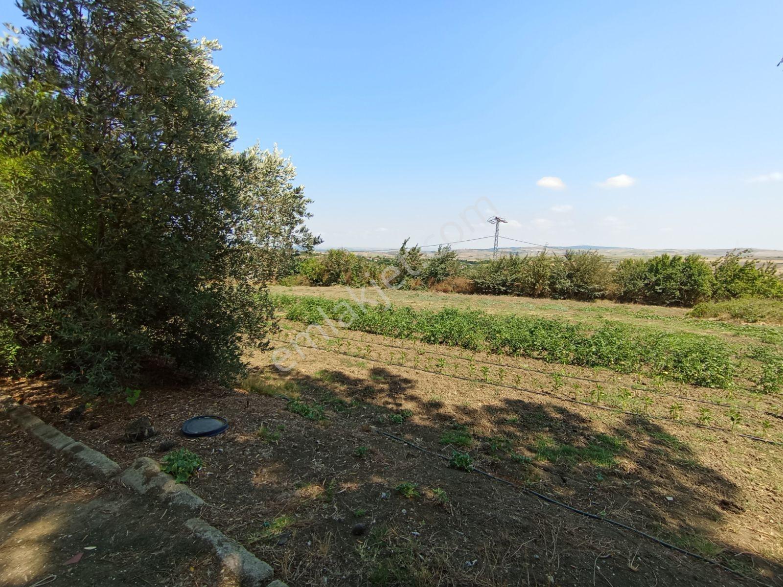 Silivri Akören Cadde Üzeri Satılık Çiftlik Evi — fotoğraf 34