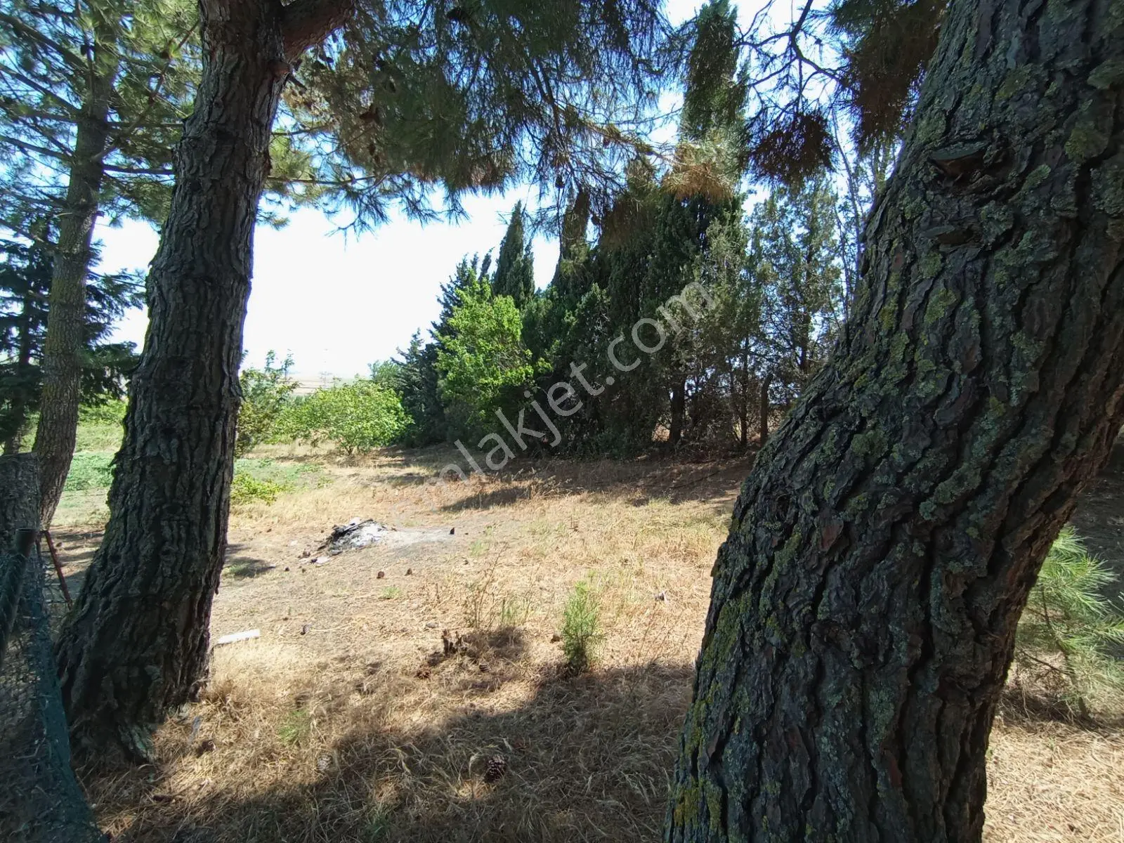 Silivri Akören Cadde Üzeri Satılık Çiftlik Evi — fotoğraf 37