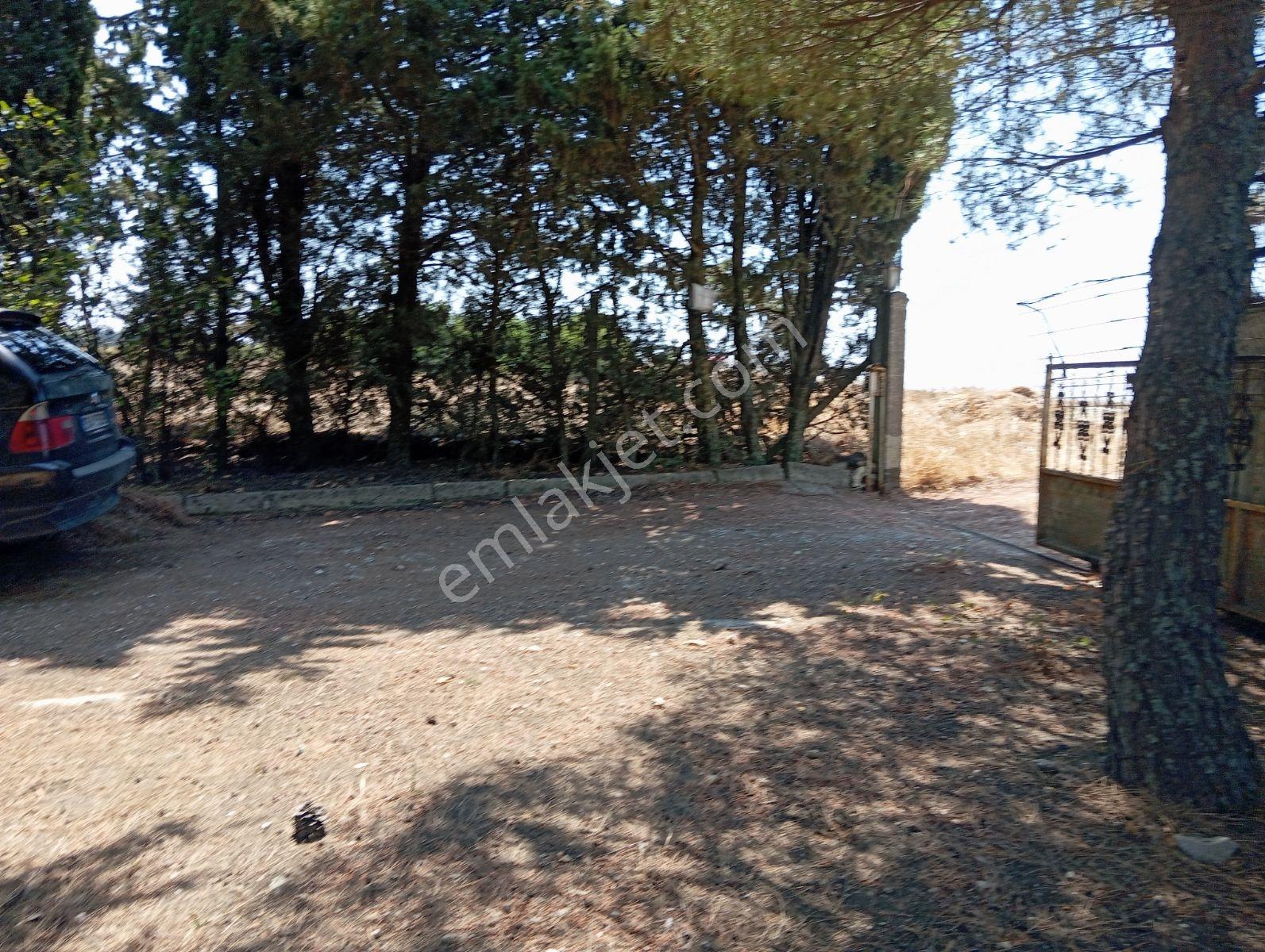 Silivri Akören Cadde Üzeri Satılık Çiftlik Evi — fotoğraf 38