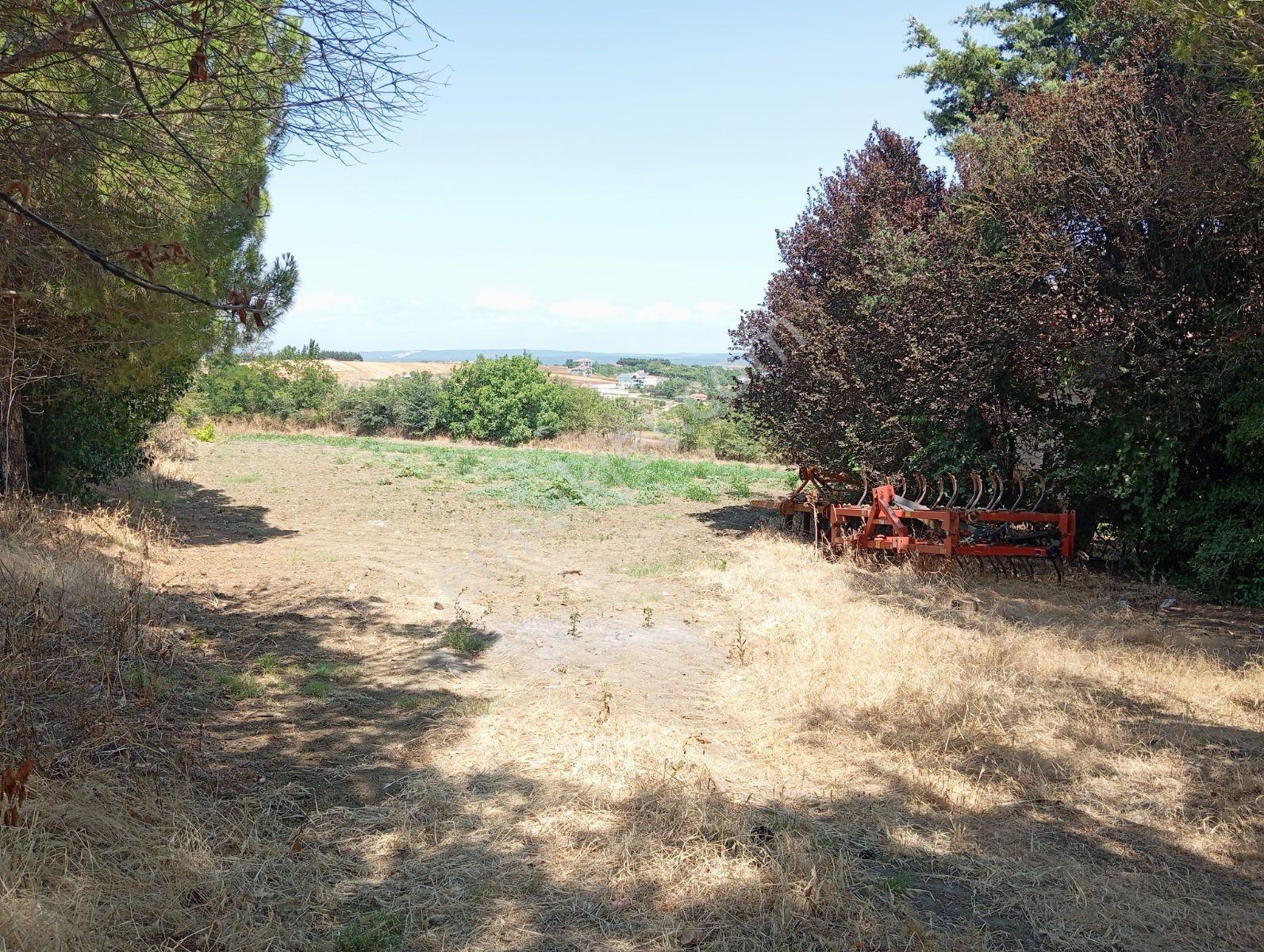 Silivri Akören Cadde Üzeri Satılık Çiftlik Evi — fotoğraf 39