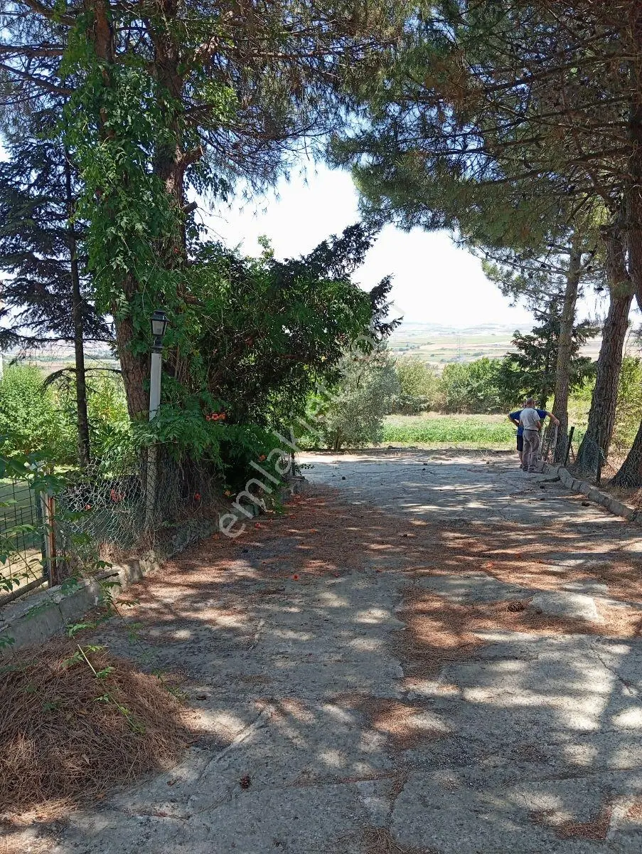 Silivri Akören Cadde Üzeri Satılık Çiftlik Evi — fotoğraf 40