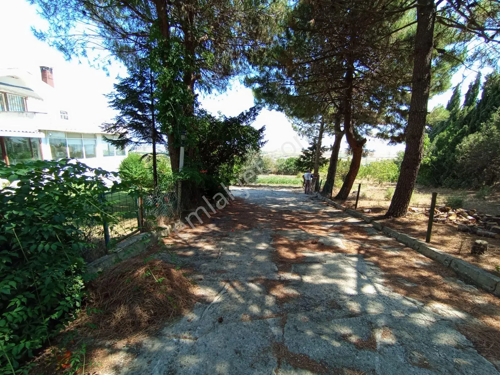Silivri Akören Cadde Üzeri Satılık Çiftlik Evi — fotoğraf 42