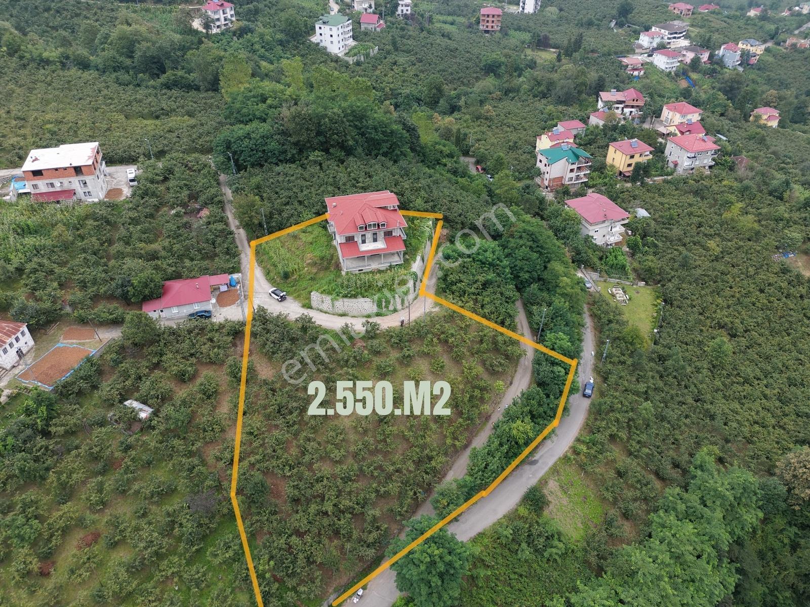Düzyurtta 2.550 M² Arazi Üzerinde Muhteşem Villa — fotoğraf 2