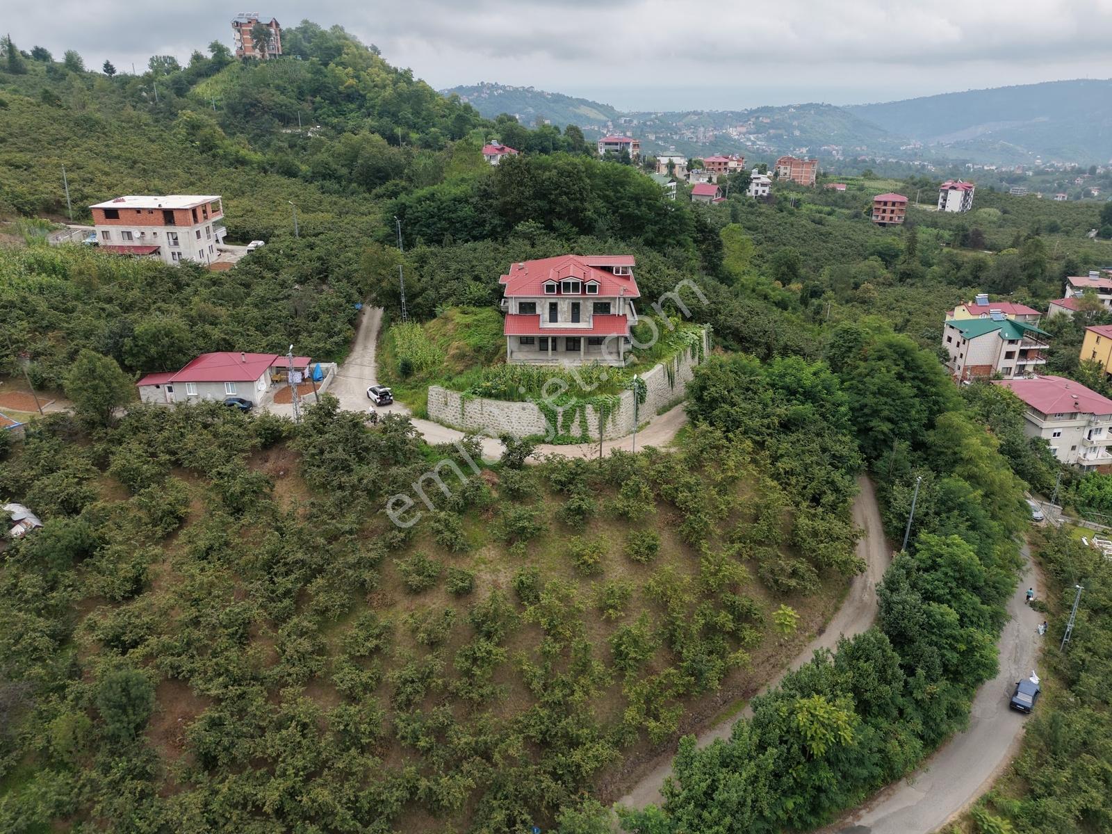 Düzyurtta 2.550 M² Arazi Üzerinde Muhteşem Villa — fotoğraf 4