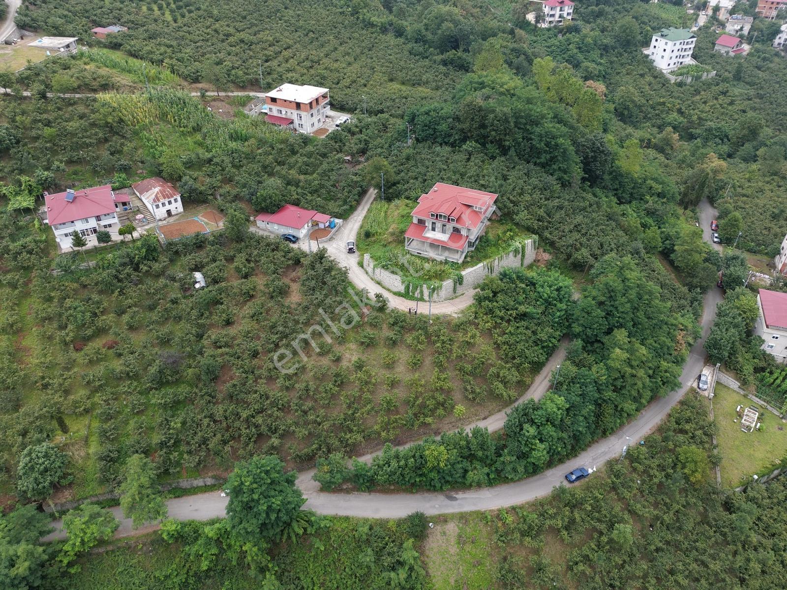 Düzyurtta 2.550 M² Arazi Üzerinde Muhteşem Villa — fotoğraf 9