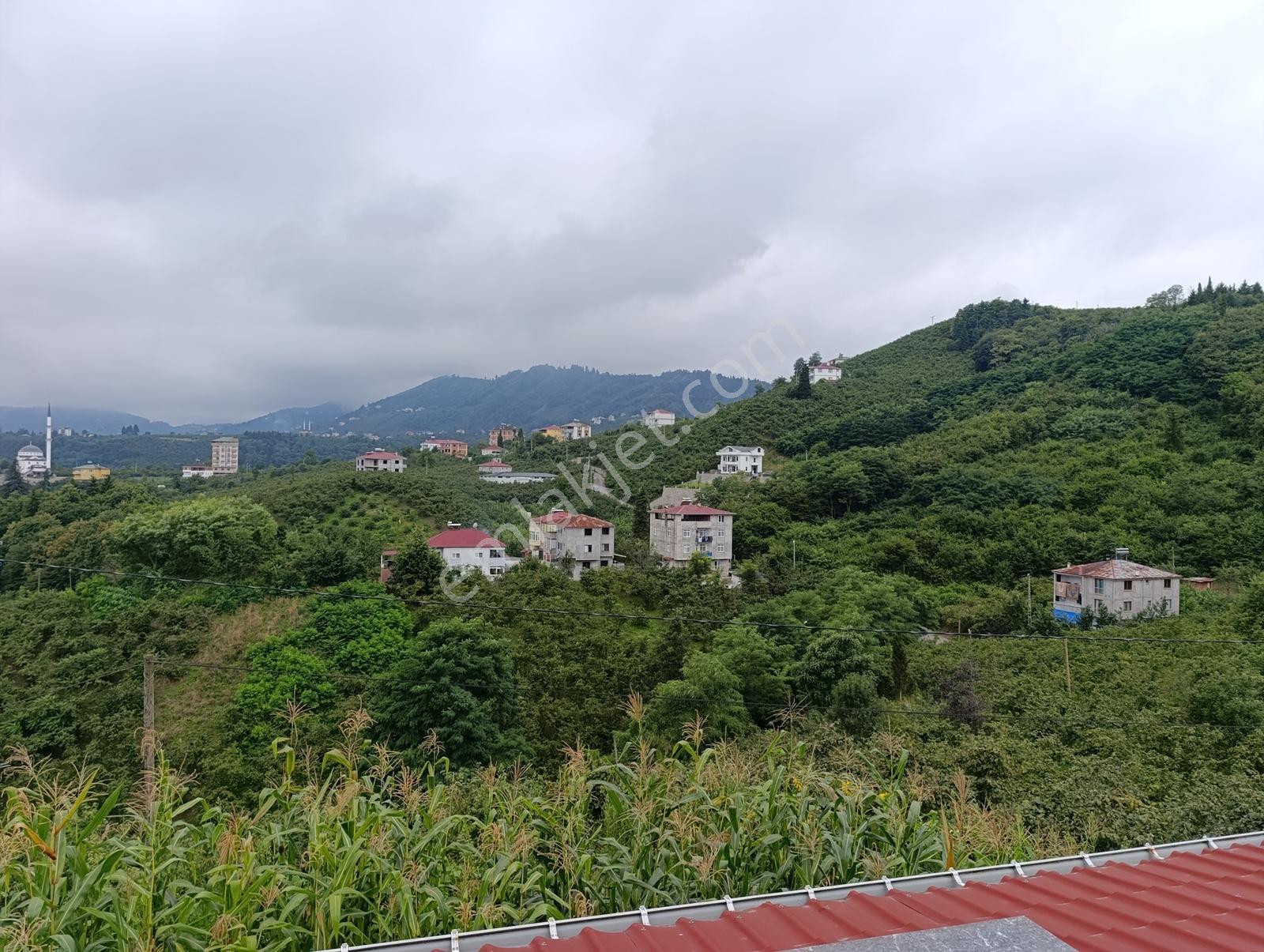 Düzyurtta 2.550 M² Arazi Üzerinde Muhteşem Villa — fotoğraf 24