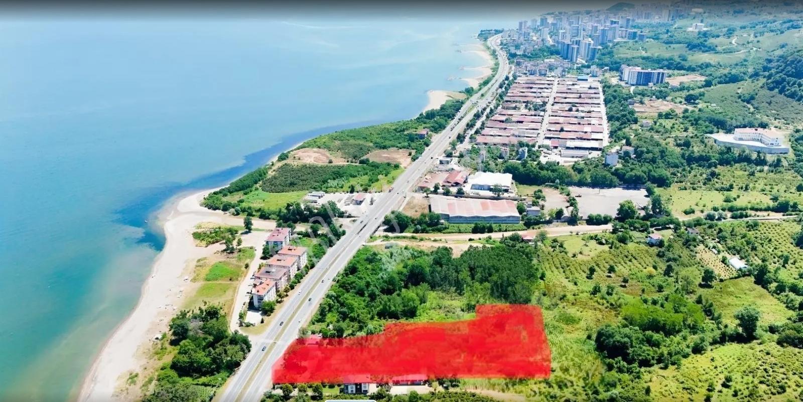 Yg'den Fatsa Dolunaya Komşu Devlet Sahil Yoluna Sıfır 2770 M2