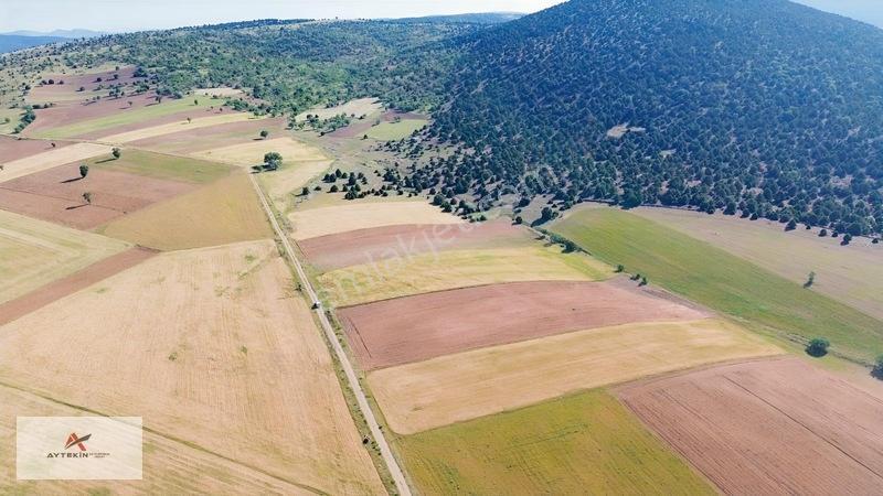 Alan Mahallesinde 13.397 M² Dümdüz Kocaman Tarla — fotoğraf 4