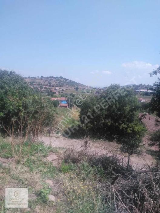 Balıkesir Bigadiç Kargın'da Yatırımlık Bağ — fotoğraf 2