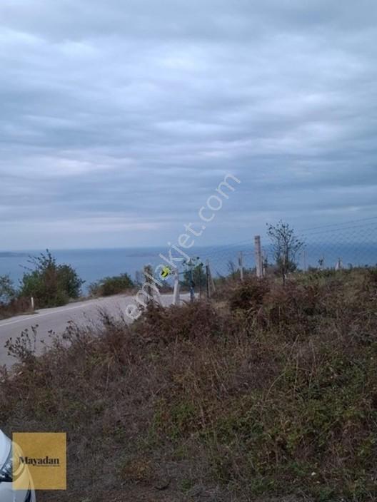 Mayadan Gyo A.ş. Den Sahil Yenice De Satılık Arsa — fotoğraf 3