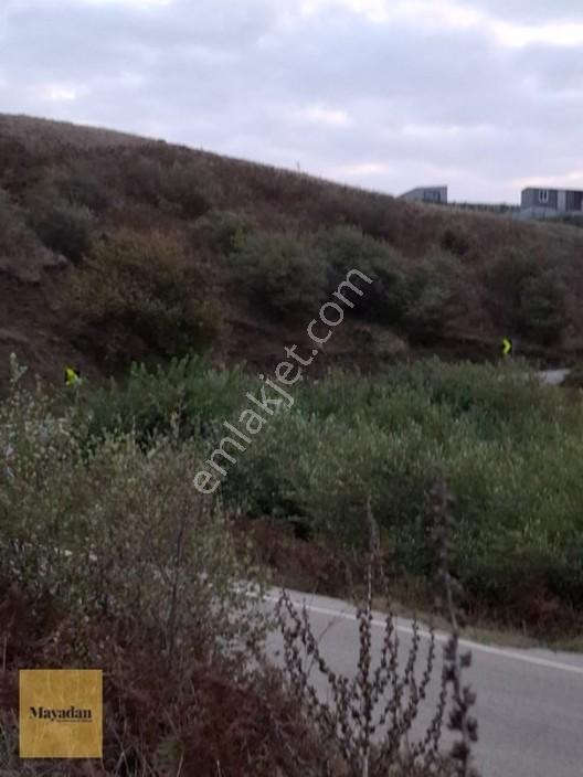 Mayadan Gyo A.ş. Den Sahil Yenice De Satılık Arsa — fotoğraf 6