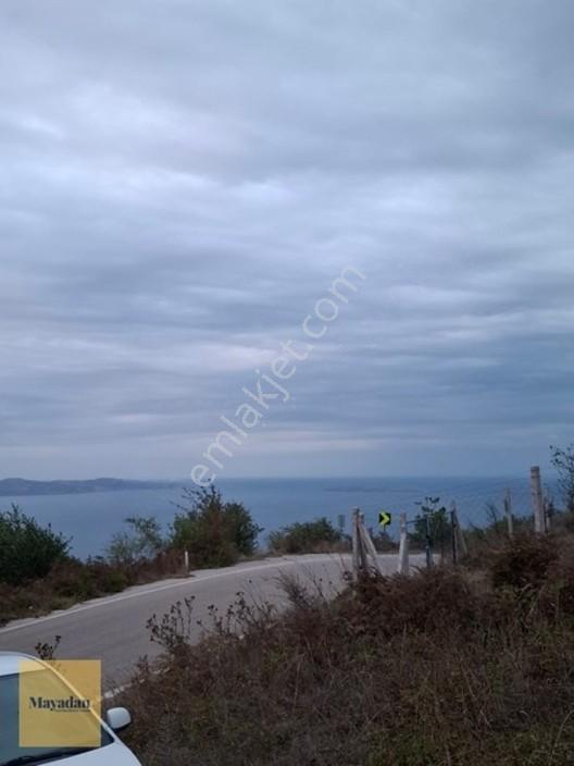 Mayadan Gyo A.ş. Den Sahil Yenice De Satılık Arsa — fotoğraf 7