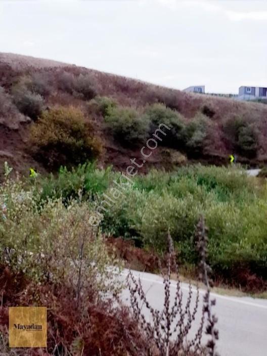 Mayadan Gyo A.ş. Den Sahil Yenice De Satılık Arsa — fotoğraf 12