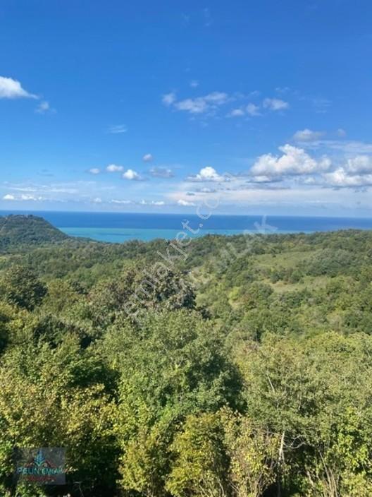 Pelin Emlaktan Kestaneci Mah. Satılık Villa