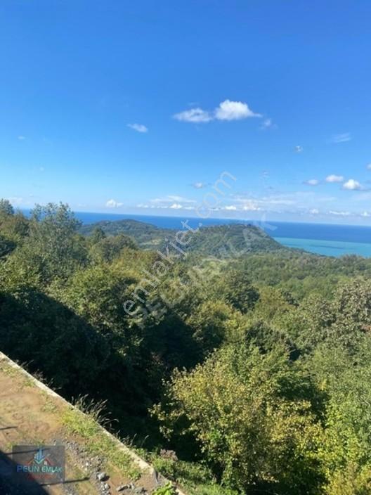 Pelin Emlaktan Kestaneci Mah. Satılık Villa — fotoğraf 4