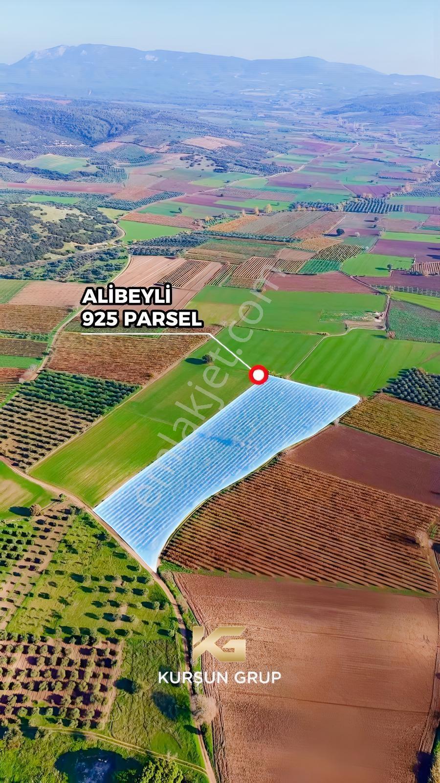 Saruhanlı Alibeyli Mah.resmi Yola Sıfır Artezyen Su Mevcut Tarla — fotoğraf 4
