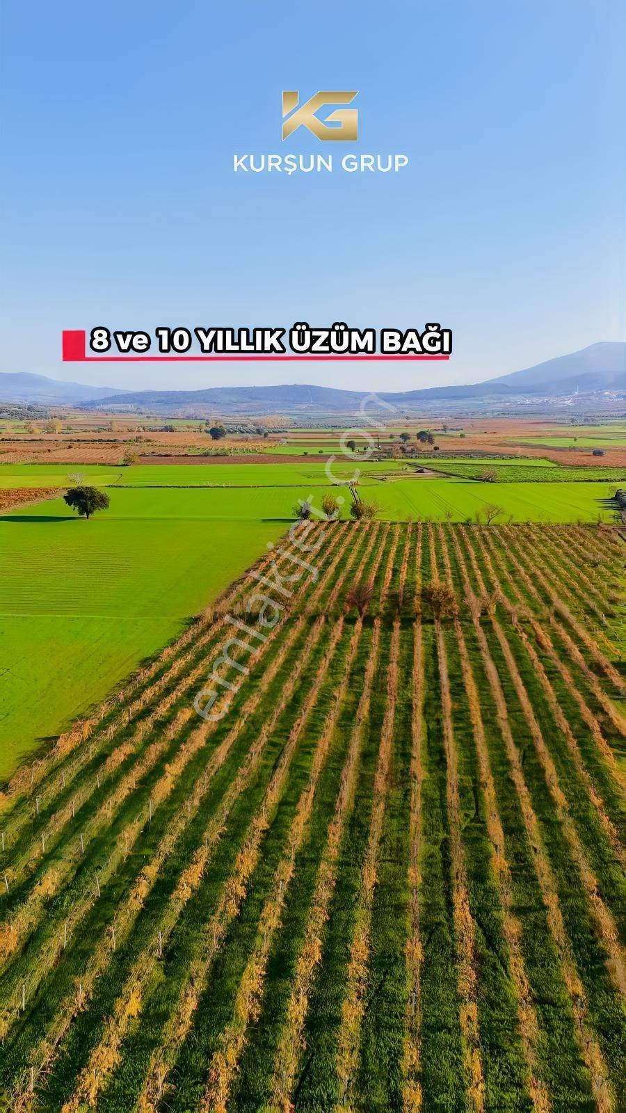 Saruhanlı Alibeyli Mah.resmi Yola Sıfır Artezyen Su Mevcut Tarla — fotoğraf 6