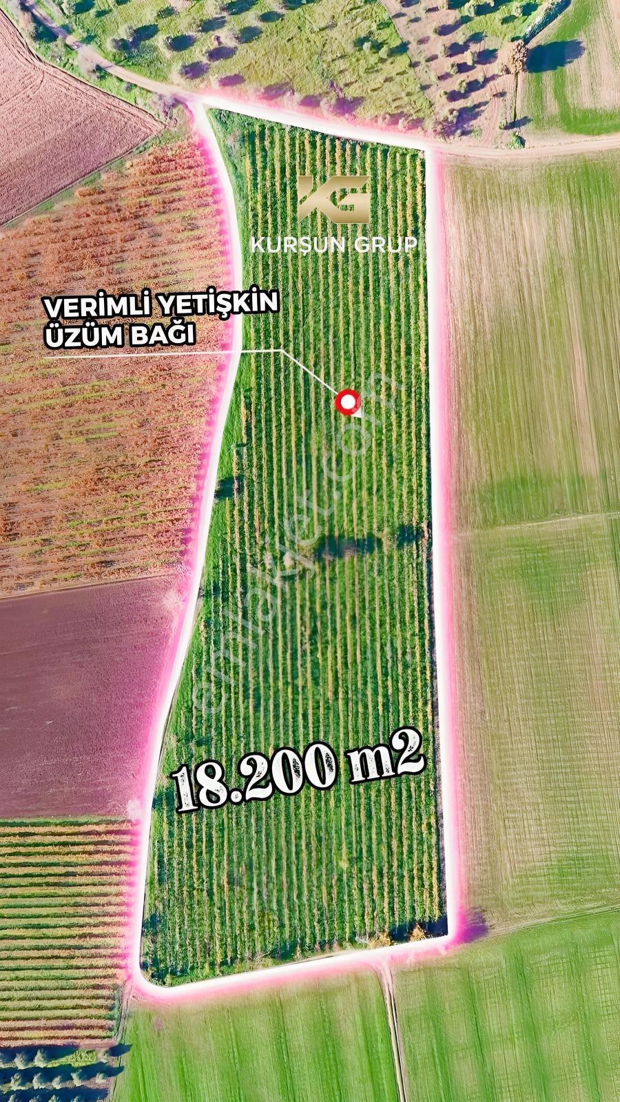 Saruhanlı Alibeyli Mah.resmi Yola Sıfır Artezyen Su Mevcut Tarla — fotoğraf 7