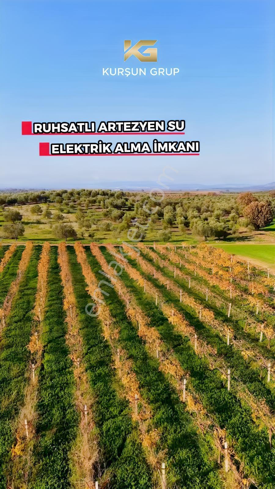 Saruhanlı Alibeyli Mah.resmi Yola Sıfır Artezyen Su Mevcut Tarla — fotoğraf 9