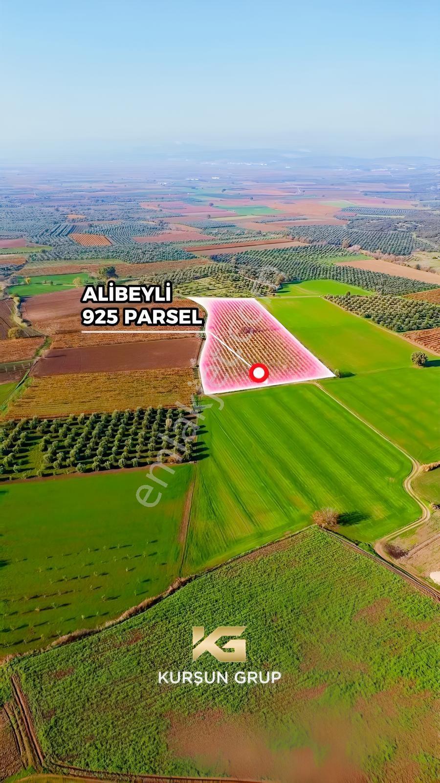 Saruhanlı Alibeyli Mah.resmi Yola Sıfır Artezyen Su Mevcut Tarla — fotoğraf 12