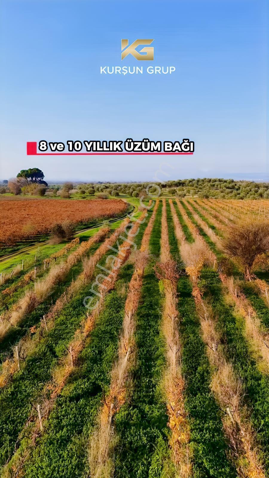 Saruhanlı Alibeyli Mah.resmi Yola Sıfır Artezyen Su Mevcut Tarla — fotoğraf 13