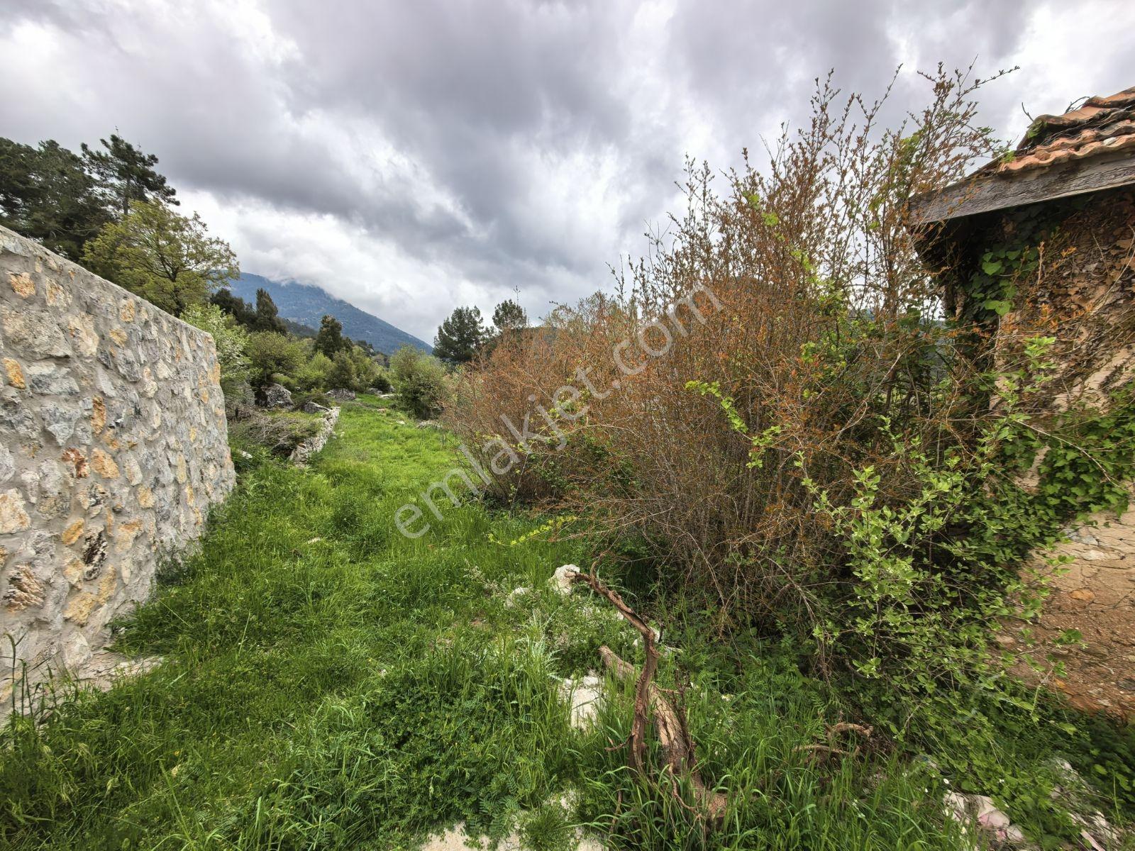 Fethiye Nif Mah'de Müstakil Köy Evi — fotoğraf 8