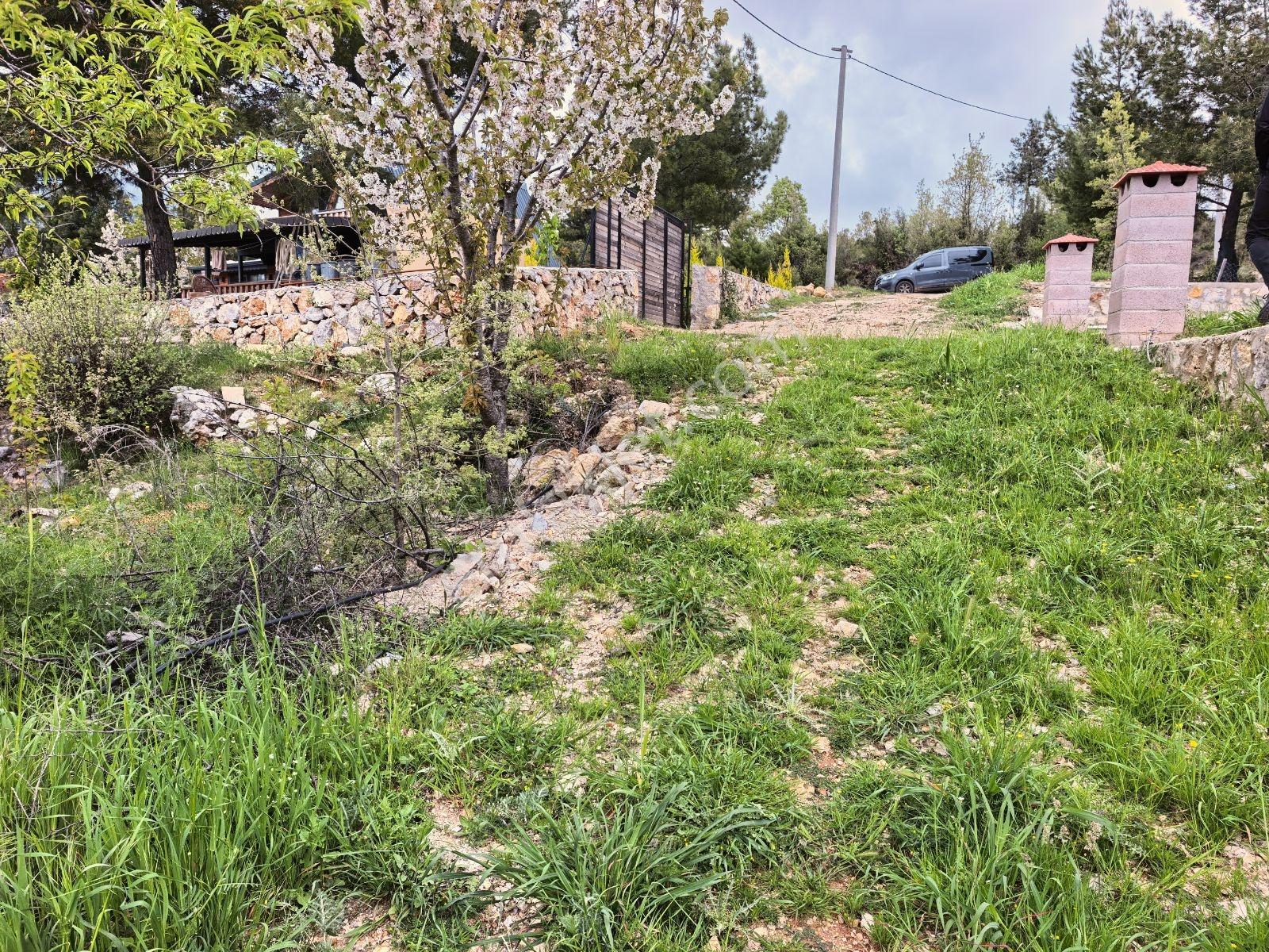 Fethiye Nif Mah'de Müstakil Köy Evi — fotoğraf 12