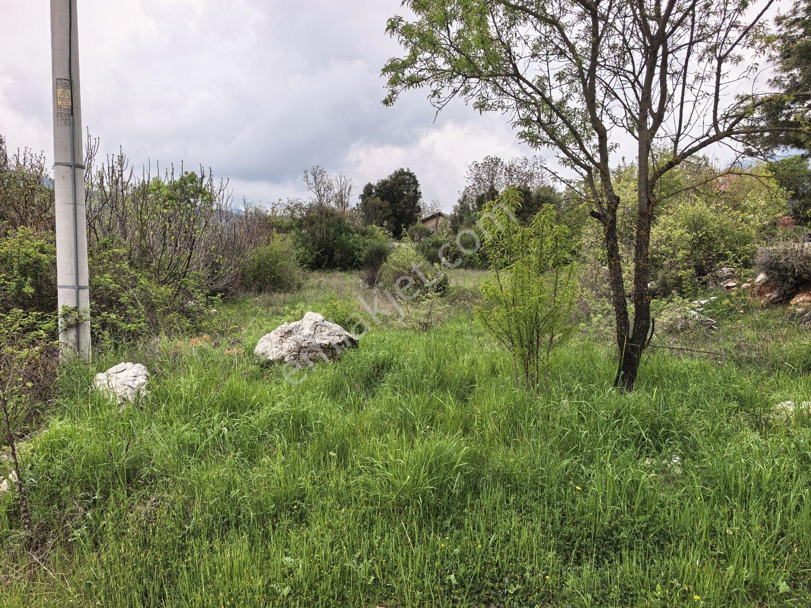 Fethiye Nif Mah'de Müstakil Köy Evi — fotoğraf 14