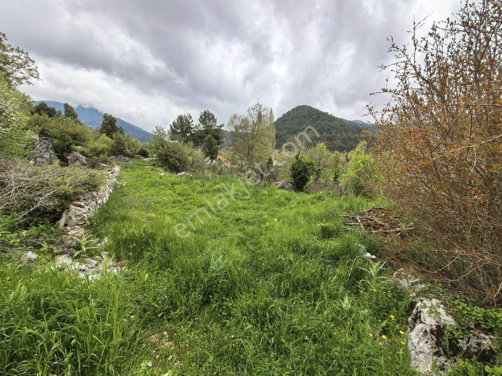 Fethiye Nif Mah'de Müstakil Köy Evi — fotoğraf 16