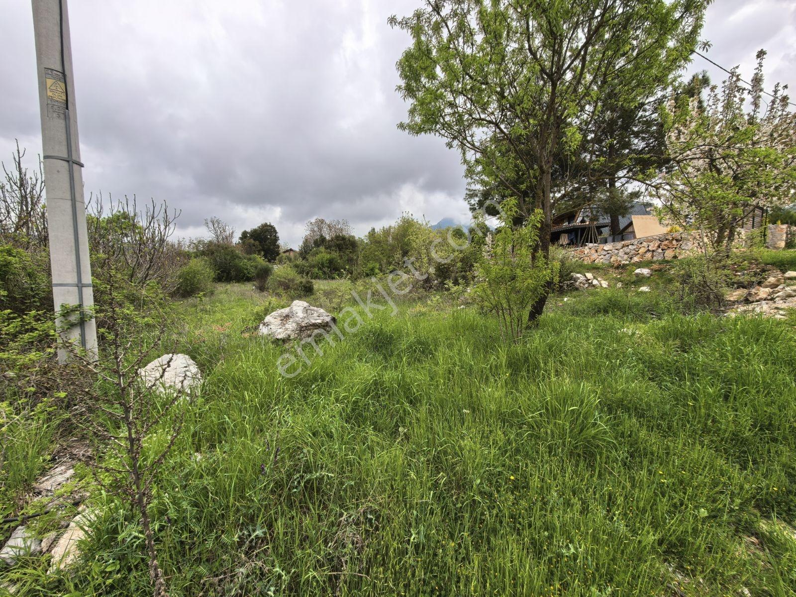 Fethiye Nif Mah'de Müstakil Köy Evi — fotoğraf 19