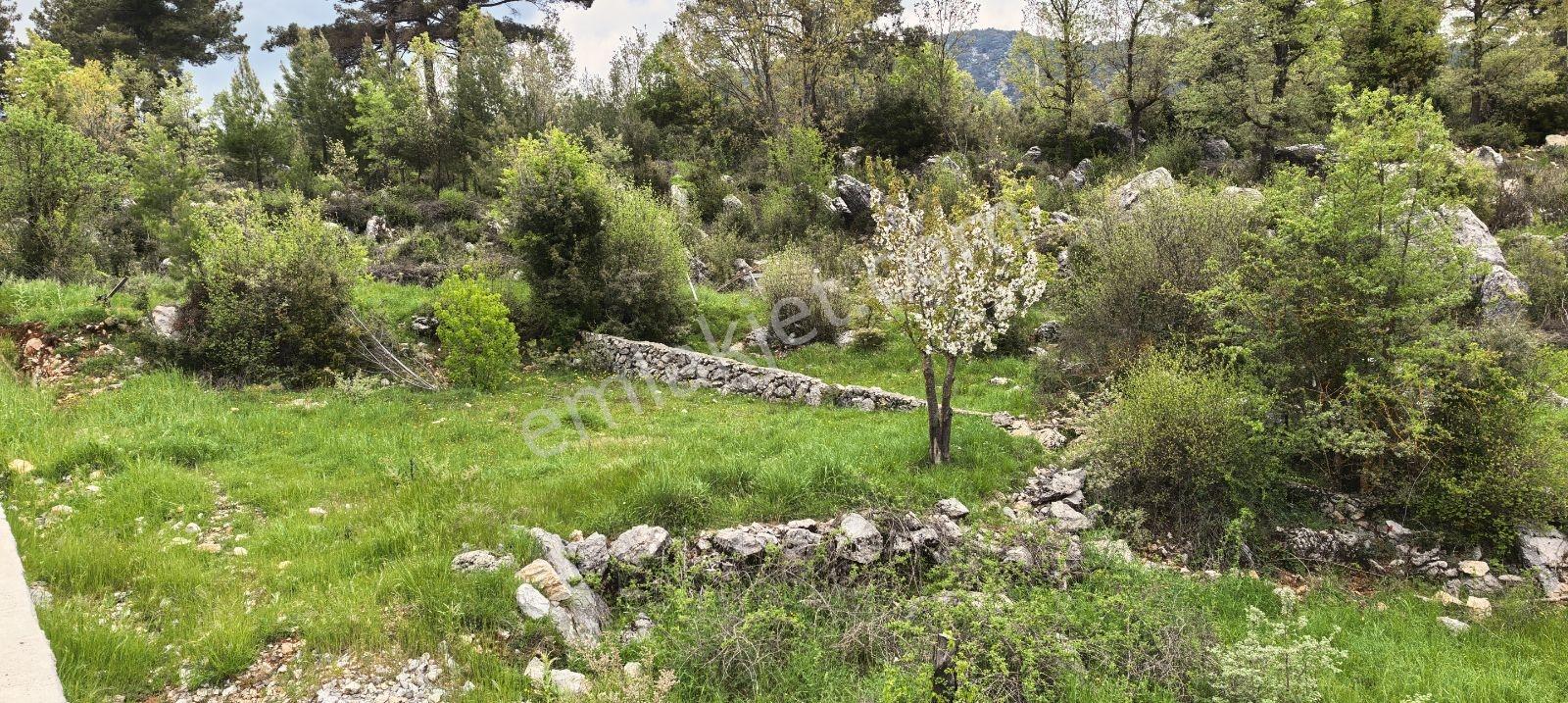 Fethiye Nif Mah'de Müstakil Köy Evi — fotoğraf 21