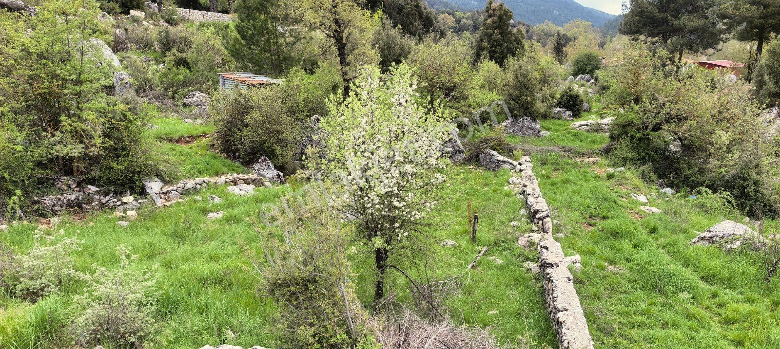 Fethiye Nif Mah'de Müstakil Köy Evi — fotoğraf 23