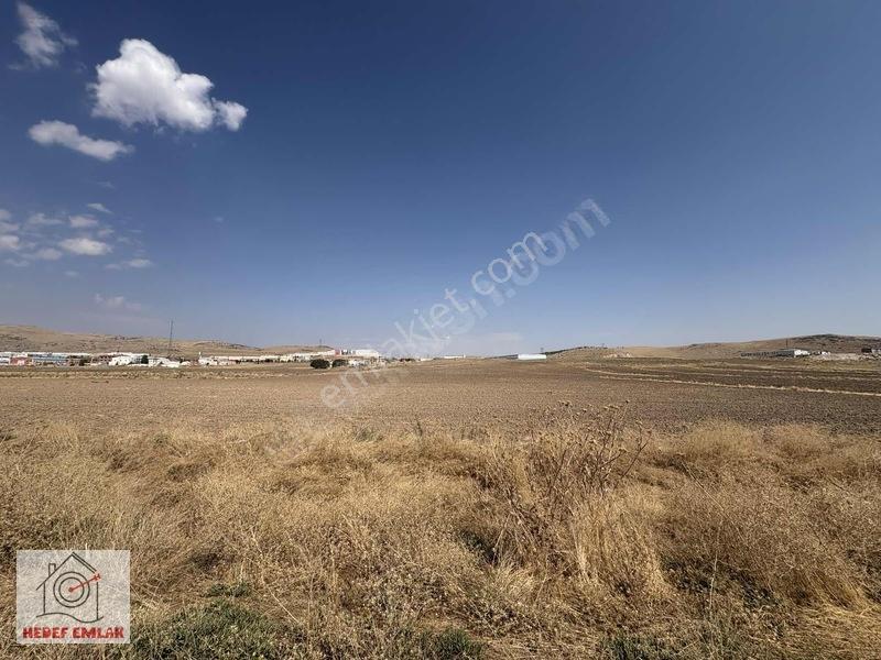 Satılık Susuz Sakarya Mah. 33.150 M² 2 Parsel Tarla