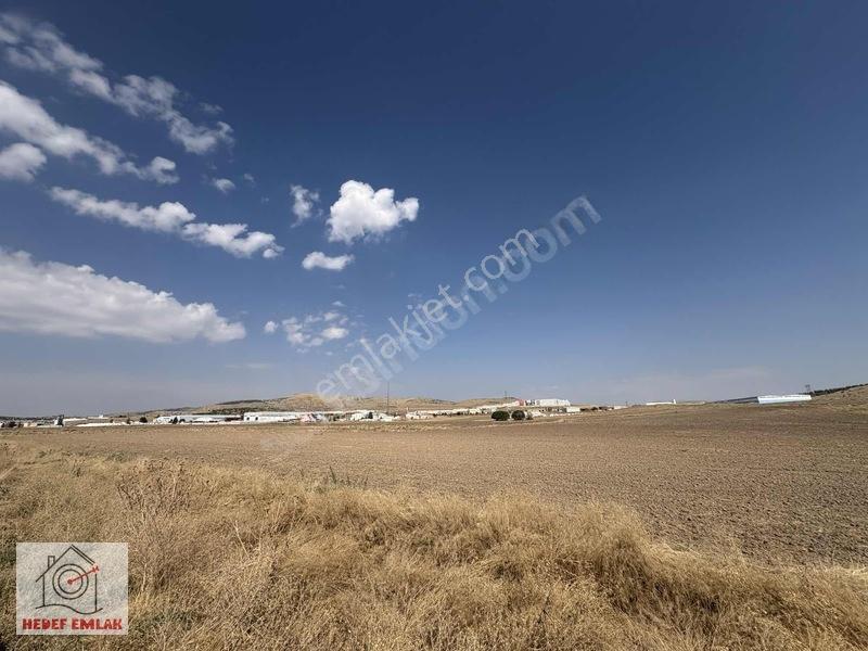 Satılık Susuz Sakarya Mah. 33.150 M² 2 Parsel Tarla — fotoğraf 2