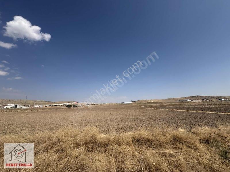 Satılık Susuz Sakarya Mah. 33.150 M² 2 Parsel Tarla — fotoğraf 3