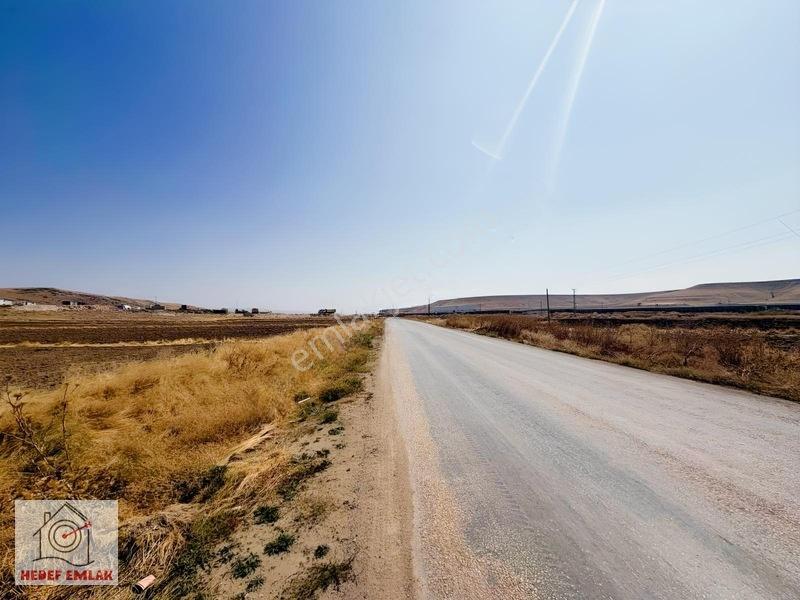 Satılık Susuz Sakarya Mah. 33.150 M² 2 Parsel Tarla — fotoğraf 4