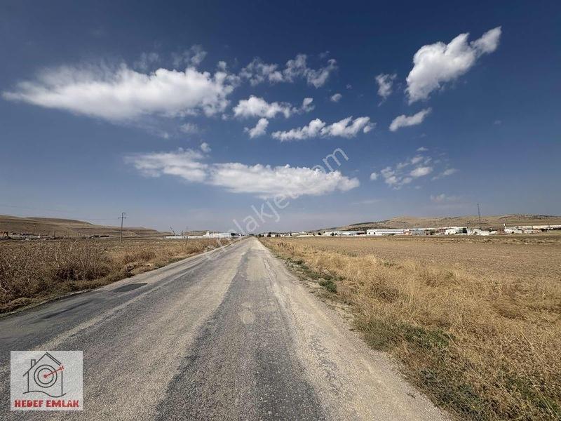 Satılık Susuz Sakarya Mah. 33.150 M² 2 Parsel Tarla — fotoğraf 5