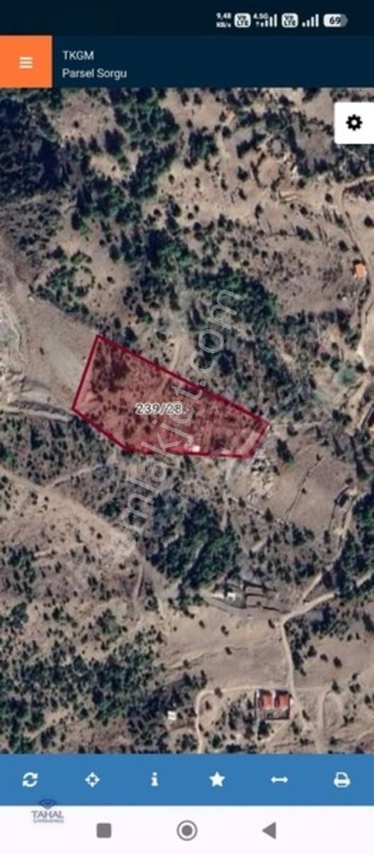 Konyaltı Üçoluk Satılık Üstünde Ev 500m2 Kooparatif Hissesi — fotoğraf 3