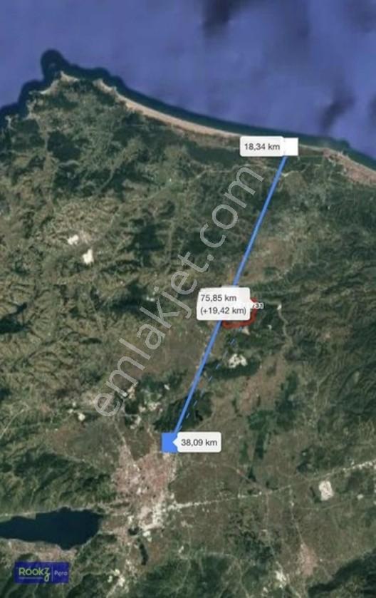 Ferizli Genişletilmiş Osb İçerisinde Yatırımlık Fındıklık — fotoğraf 4