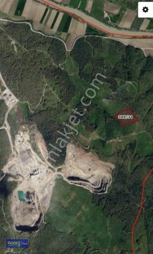 Ferizli Genişletilmiş Osb İçerisinde Yatırımlık Fındıklık — fotoğraf 6