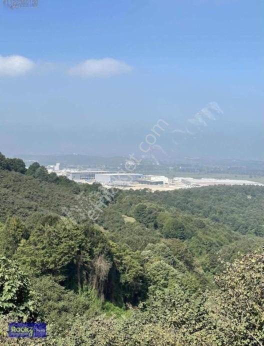 Ferizli Genişletilmiş Osb İçerisinde Yatırımlık Fındıklık — fotoğraf 8