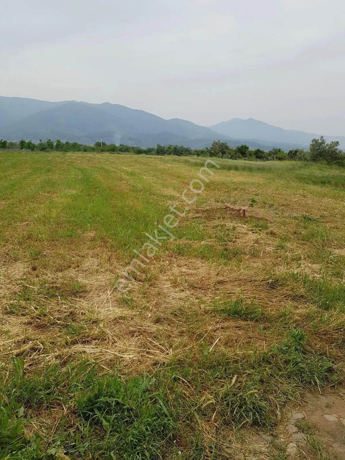 Bergamada Yatırımlık 19.484 M² Satılık Tarla