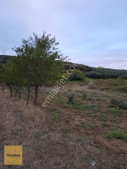 Mayadan Gyo A.ş. Den Sahil Yenice De Satılık Arsa — fotoğraf 5