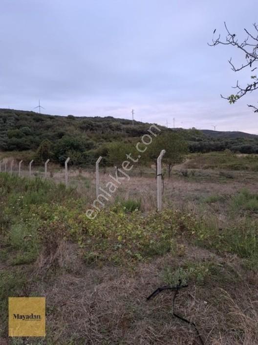 Mayadan Gyo A.ş. Den Sahil Yenice De Satılık Arsa — fotoğraf 6