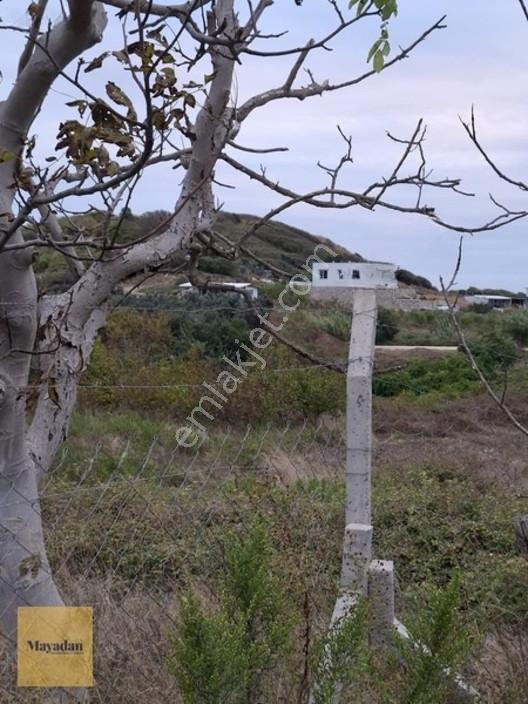 Mayadan Gyo A.ş. Den Sahil Yenice De Satılık Arsa — fotoğraf 8
