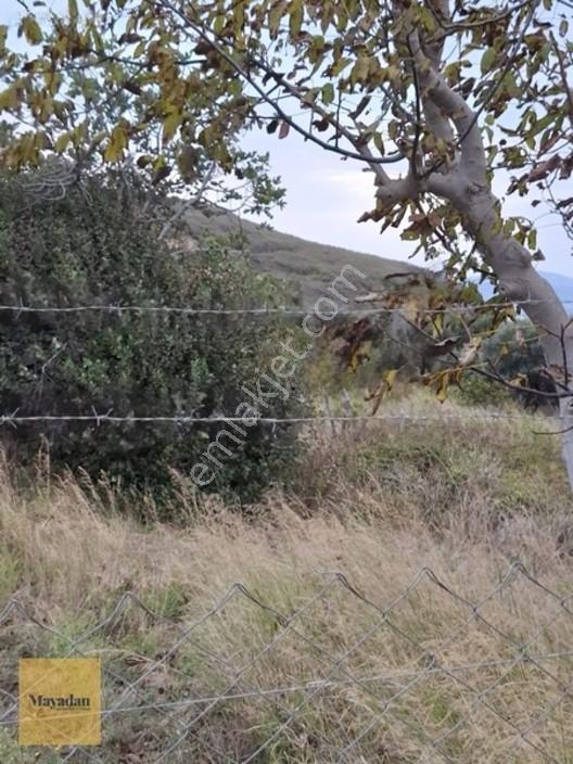 Mayadan Gyo A.ş. Den Sahil Yenice De Satılık Arsa — fotoğraf 11