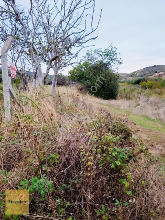 Mayadan Gyo A.ş. Den Sahil Yenice De Satılık Arsa — fotoğraf 12