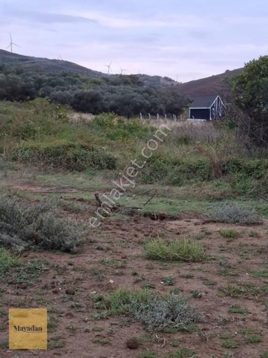Mayadan Gyo A.ş. Den Sahil Yenice De Satılık Arsa — fotoğraf 14