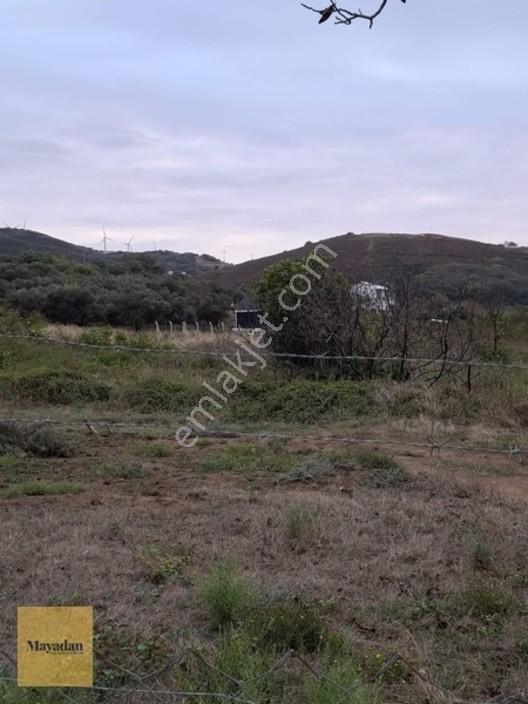 Mayadan Gyo A.ş. Den Sahil Yenice De Satılık Arsa — fotoğraf 15