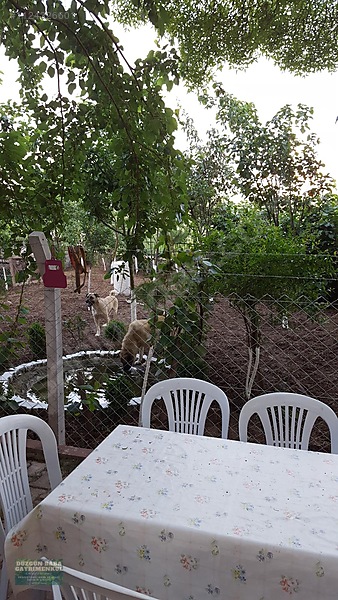 Düzgün Babadan Otoban Çıkışında 850m2 Arsa İçinde Müstakil Villa — fotoğraf 12